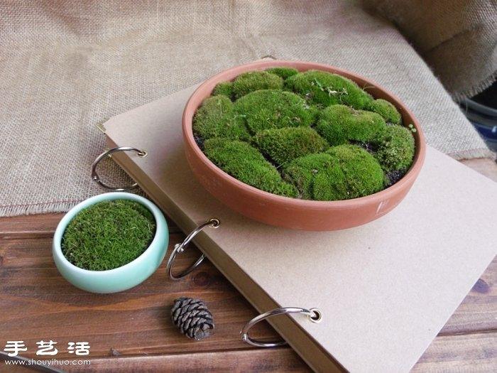 DIY可爱的苔藓造景 自制漂亮苔藓微景观(图2)