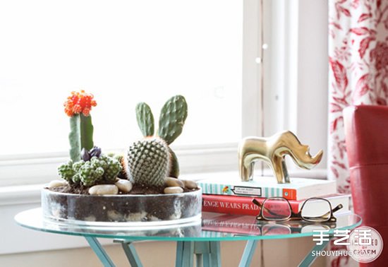 自制仙人掌盆景的方法 简单仙人掌盆栽DIY教程（二）(图1)