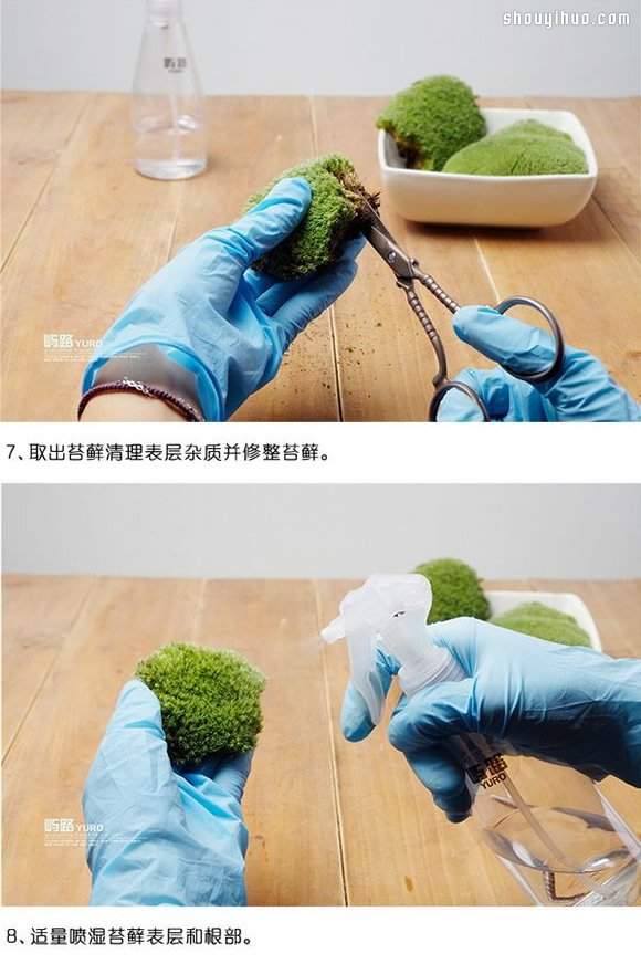 苔藓微景观制作材料及方法详细图解教程(图4)