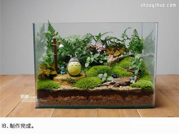 苔藓微景观制作材料及方法详细图解教程(图9)