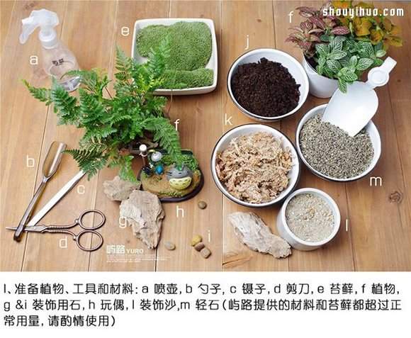 苔藓微景观制作材料及方法详细图解教程 - 功圣花卉