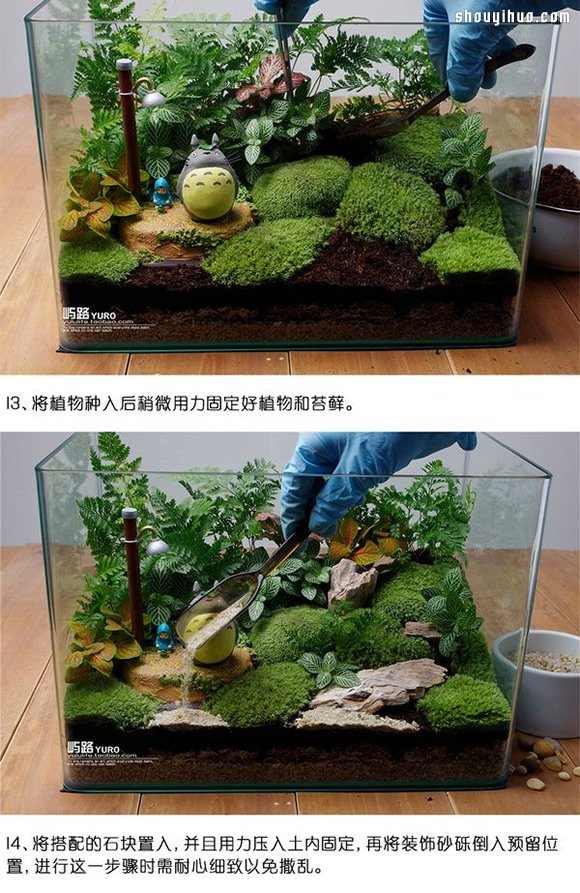 苔藓微景观制作材料及方法详细图解教程(图7)