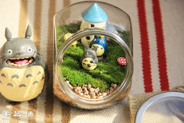 DIY可爱的苔藓造景 自制漂亮苔藓微景观 - 功圣花卉