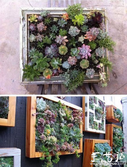 超强大的立体盆景DIY(图6)