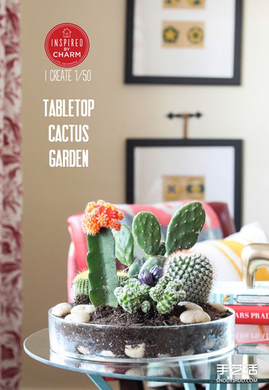 自制仙人掌盆景的方法 简单仙人掌盆栽DIY教程（二）(图6)