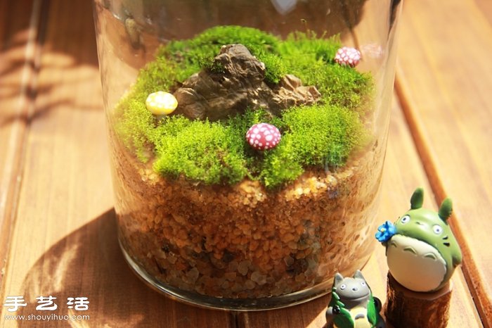 DIY可爱的苔藓造景 自制漂亮苔藓微景观(图4)