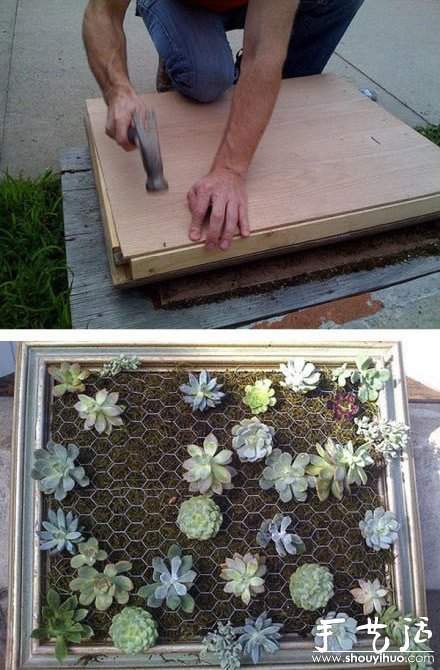 超强大的立体盆景DIY(图4)