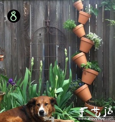 DIY多层盆栽 节省空间简单美观(图4)