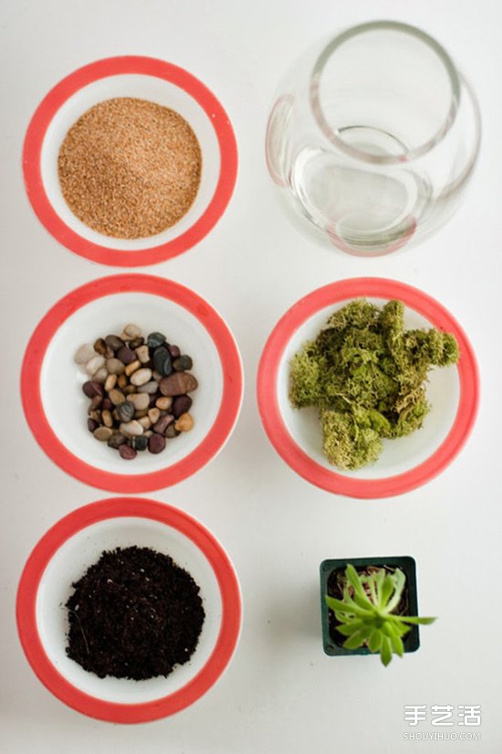 手工制作迷你植物盆景 创造自己的小小王国(图2)
