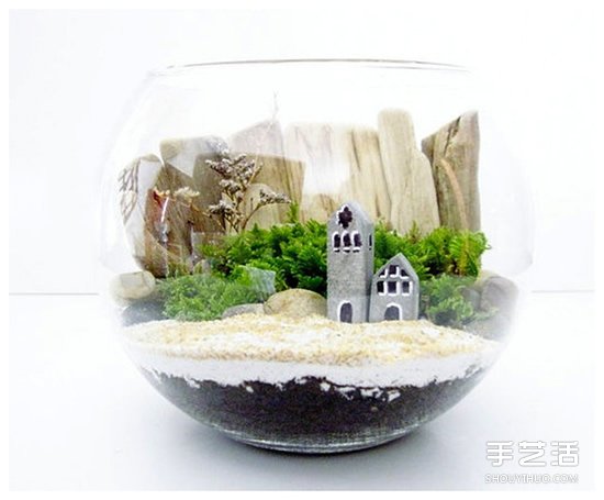 [教程]如何随手利用家里现有的小东西做植物盆景 - 功圣花卉