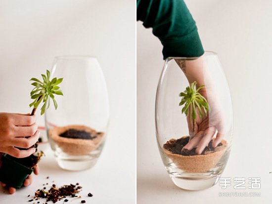 手工制作迷你植物盆景 创造自己的小小王国(图5)