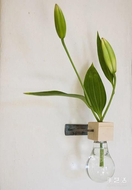 治愈系绿色盆景DIY图片 温馨家居的点睛之笔(图2)