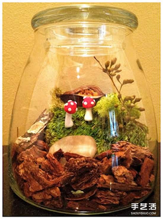 [教程]如何随手利用家里现有的小东西做植物盆景(图6)