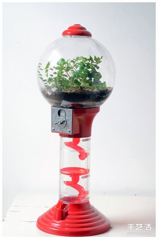 [教程]如何随手利用家里现有的小东西做植物盆景(图7)