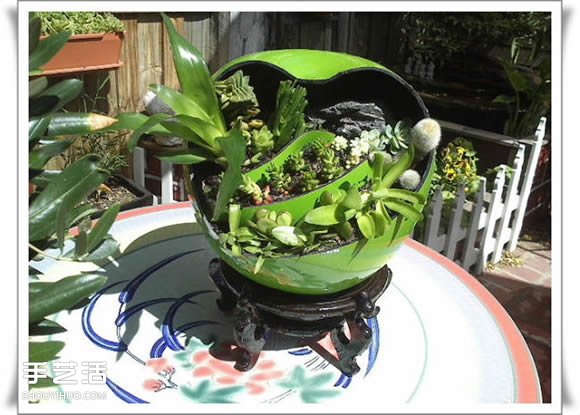 废品利用手工制作盆景 塑料废弃物DIY盆景教程 - 功圣花卉