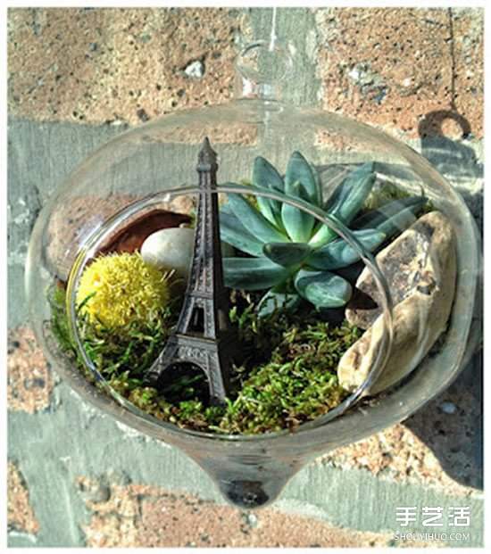 [教程]如何随手利用家里现有的小东西做植物盆景(图4)