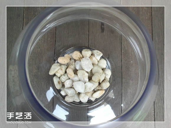 密封玻璃容器盆景DIY 几乎不要浇水和施肥(图5)