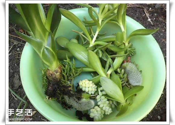 废品利用手工制作盆景 塑料废弃物DIY盆景教程(图11)