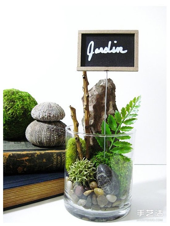 [教程]如何随手利用家里现有的小东西做植物盆景(图2)