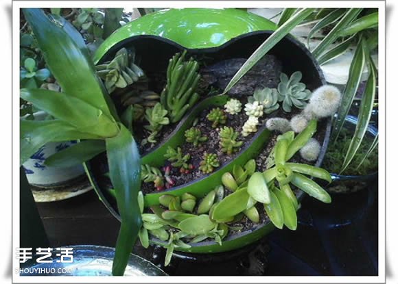 废品利用手工制作盆景 塑料废弃物DIY盆景教程(图13)