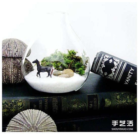 [教程]如何随手利用家里现有的小东西做植物盆景(图3)