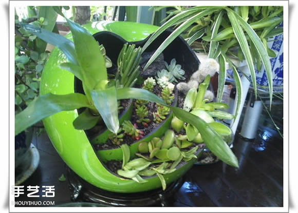 废品利用手工制作盆景 塑料废弃物DIY盆景教程(图14)