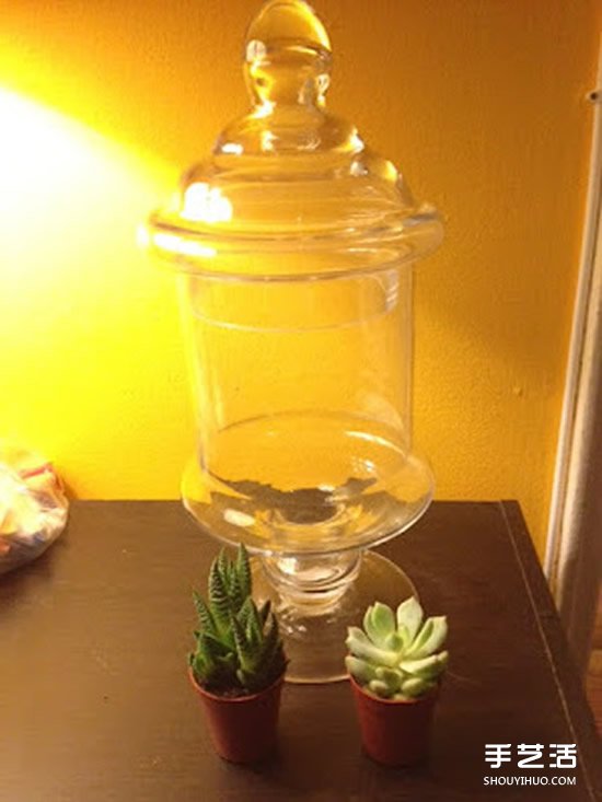 [教程]如何随手利用家里现有的小东西做植物盆景(图11)
