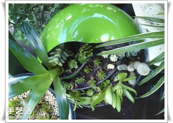 废品利用手工制作盆景 塑料废弃物DIY盆景教程(图15)