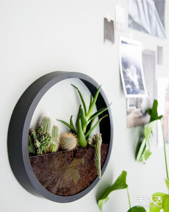 治愈系绿色盆景DIY图片 温馨家居的点睛之笔(图7)