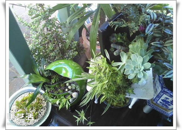 废品利用手工制作盆景 塑料废弃物DIY盆景教程(图16)