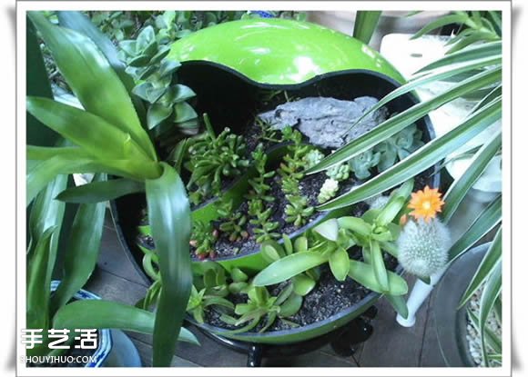 废品利用手工制作盆景 塑料废弃物DIY盆景教程(图18)