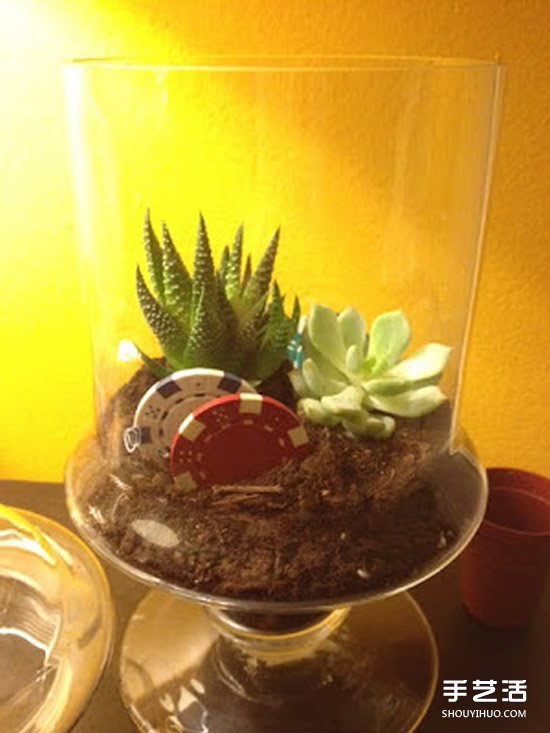 [教程]如何随手利用家里现有的小东西做植物盆景(图13)