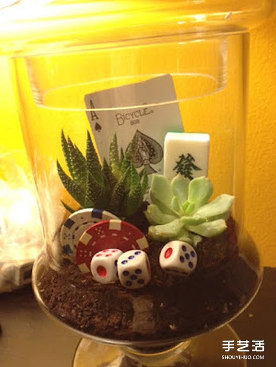 [教程]如何随手利用家里现有的小东西做植物盆景(图14)