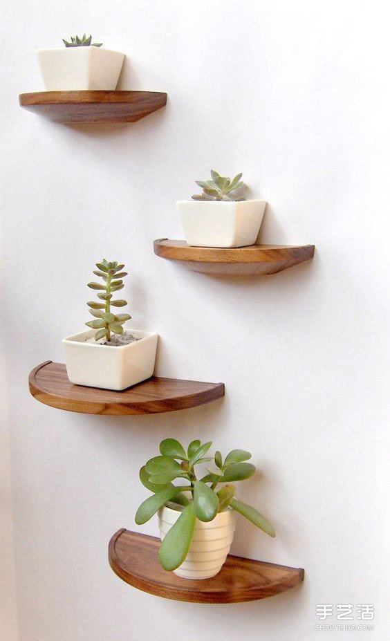 治愈系绿色盆景DIY图片 温馨家居的点睛之笔(图8)