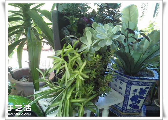 废品利用手工制作盆景 塑料废弃物DIY盆景教程(图22)