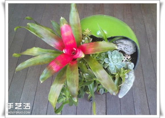 废品利用手工制作盆景 塑料废弃物DIY盆景教程(图20)