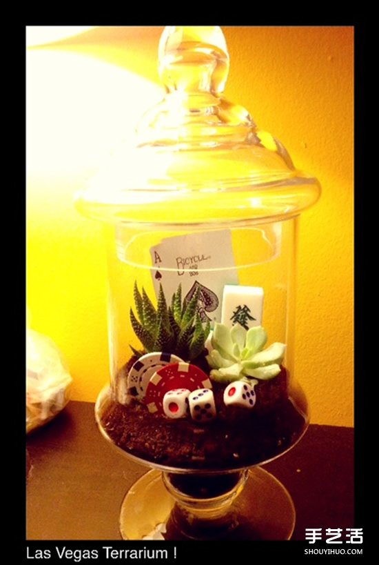 [教程]如何随手利用家里现有的小东西做植物盆景(图15)