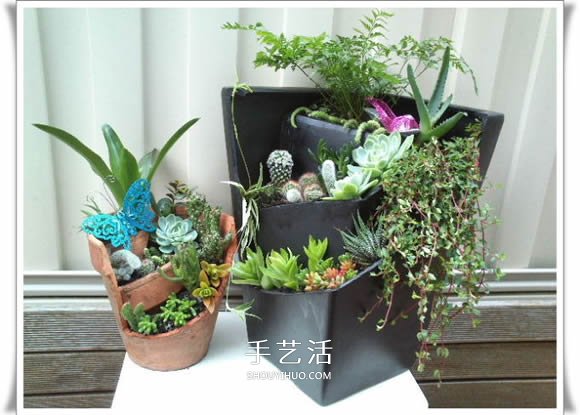 破花盆变盆景的方法 DIY破花盆盆景小制作 - 功圣花卉