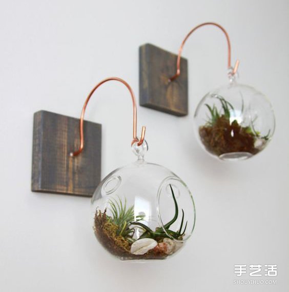 治愈系绿色盆景DIY图片 温馨家居的点睛之笔 - 功圣花卉