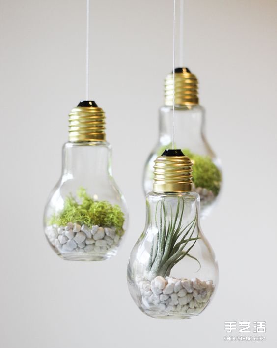 治愈系绿色盆景DIY图片 温馨家居的点睛之笔(图4)