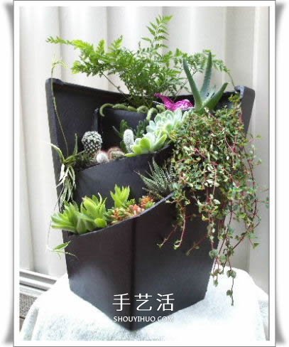 破花盆变盆景的方法 DIY破花盆盆景小制作(图9) 破花盆变盆景的方法 DIY破花盆盆景小制作(图9)