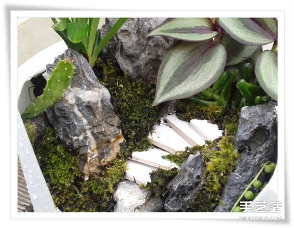 微型花园：废旧烤面包机改造制作的美丽盆景(图11)