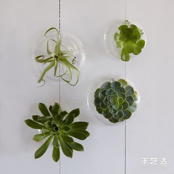 治愈系绿色盆景DIY图片 温馨家居的点睛之笔(图6)