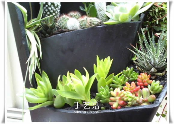 破花盆变盆景的方法 DIY破花盆盆景小制作(图13) 破花盆变盆景的方法 DIY破花盆盆景小制作(图13)