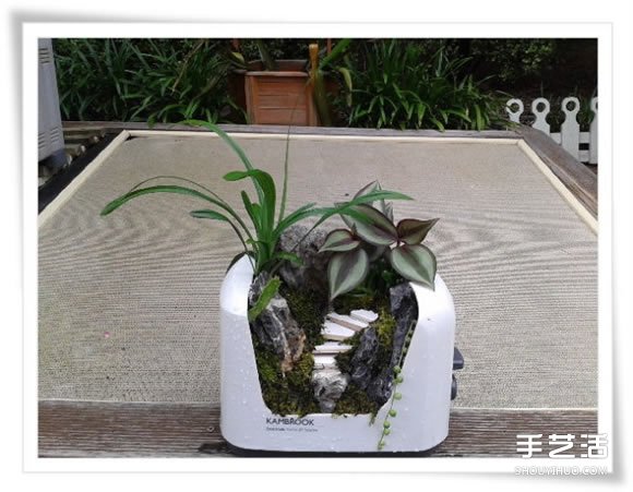 微型花园：废旧烤面包机改造制作的美丽盆景(图12)