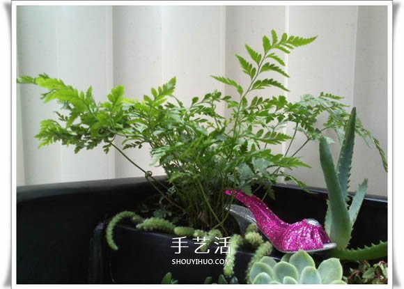 破花盆变盆景的方法 DIY破花盆盆景小制作(图10) 破花盆变盆景的方法 DIY破花盆盆景小制作(图10)