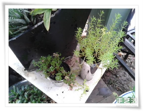 微型花园：废旧烤面包机改造制作的美丽盆景(图21)