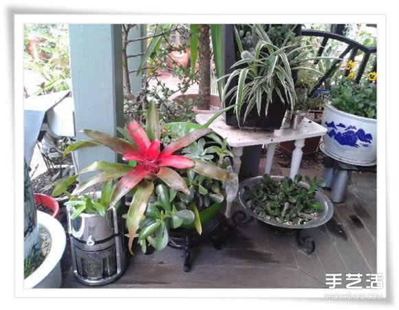 微型花园：废旧烤面包机改造制作的美丽盆景(图20)