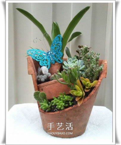 破花盆变盆景的方法 DIY破花盆盆景小制作(图20) 破花盆变盆景的方法 DIY破花盆盆景小制作(图20)