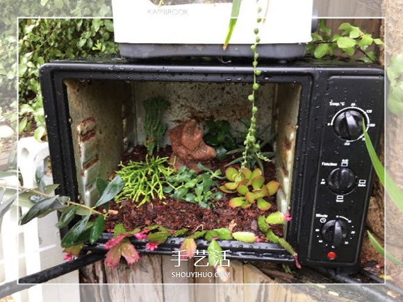 旧烤箱废物利用 改造成园艺盆景的小制作方法(图5)
